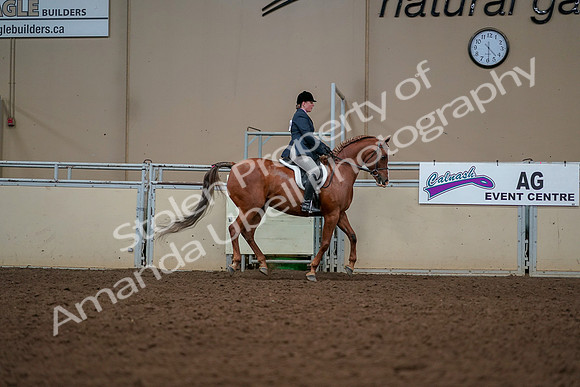 2019 Morgan Horse Show - Aug 30, 2019 - 22478
