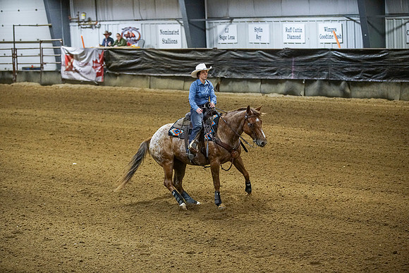DSC00728