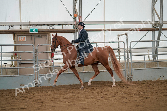 July 20, 2019 - 02088