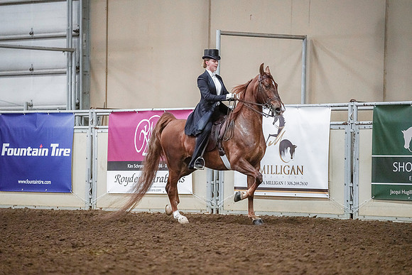 Spring Fling - Saturday - April 20, 2019  -  04238