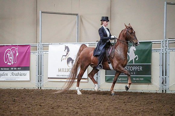 Spring Fling - Saturday - April 20, 2019  -  04242