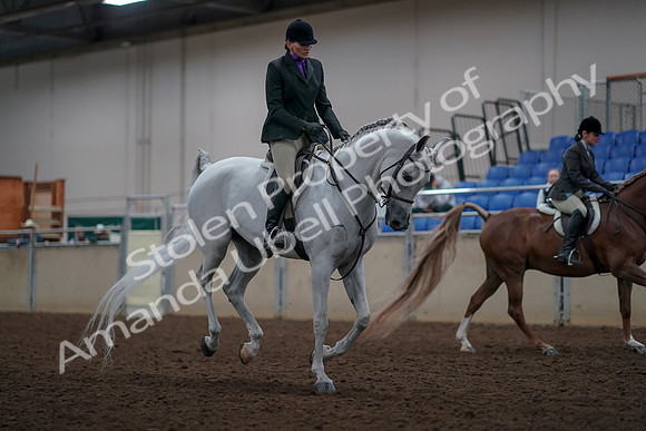 2019 Morgan Horse Show - Aug 31, 2019 - 16110