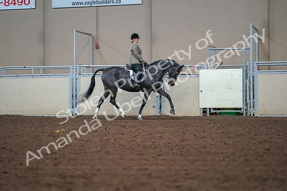 2019 Morgan Horse Show - Aug 30, 2019 - 20718