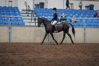 2019 Morgan Horse Show - Sept 01, 2019 - 09018