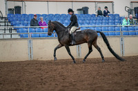 2019 Morgan Horse Show - Aug 30, 2019 - 19868