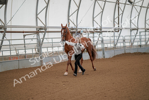 July 19, 2019 - 54