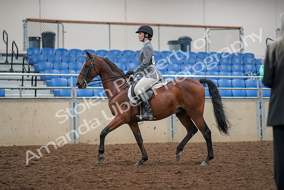 2019 Morgan Horse Show - Aug 30, 2019 - 23197