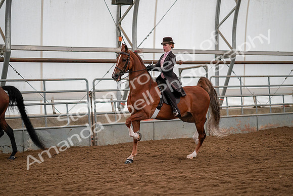 July 19, 2019 - 10501
