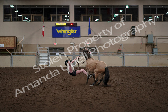 2019 Morgan Horse Show - Aug 30, 2019 - 31270