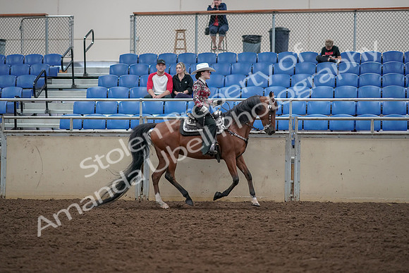 2019 Morgan Horse Show - Aug 30, 2019 - 26197
