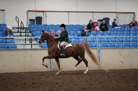 2019 Morgan Horse Show - Aug 31, 2019 - 13786