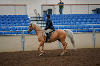 2019 Morgan Horse Show - Aug 30, 2019 - 22174