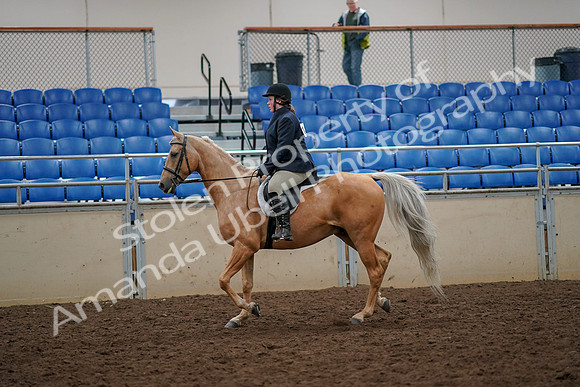 2019 Morgan Horse Show - Aug 30, 2019 - 22174