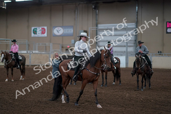2019 Morgan Horse Show - Sept 01, 2019 - 07250