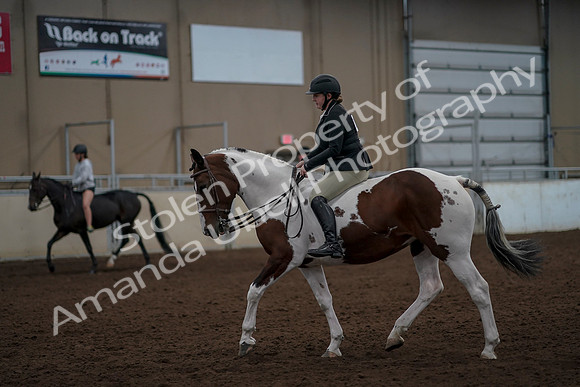 2019 Morgan Horse Show - Aug 30, 2019 - 31163