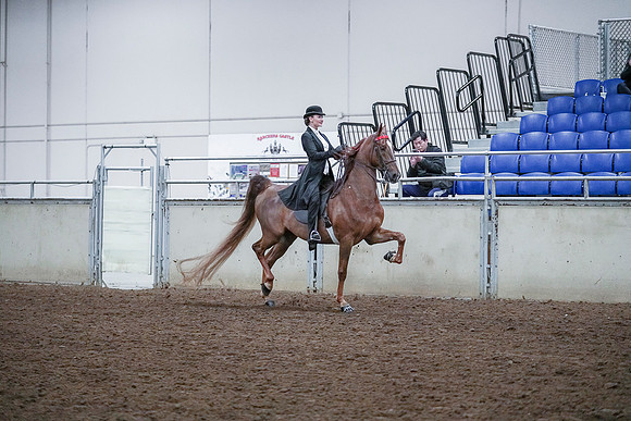 Spring Fling - Saturday - April 20, 2019  -  00552