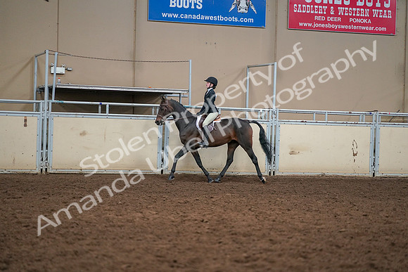 2019 Morgan Horse Show - Aug 30, 2019 - 12205