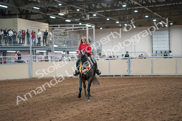 2020 - AB Morgan Horse - Sat, Sept 05 - 10531