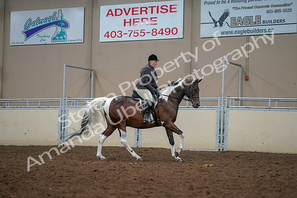 2019 Morgan Horse Show - Aug 30, 2019 - 22506