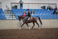 2019 Morgan Horse Show - Aug 31, 2019 - 15865