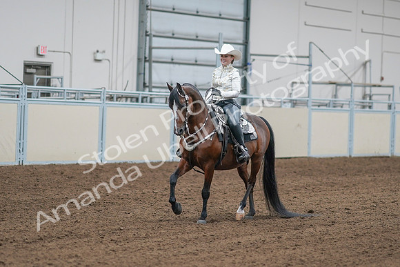 2020 - AB Morgan Horse - Sat, Sept 05 - 09013