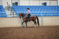 Class 033 - Morgan West Pl - Junior Limit Horse