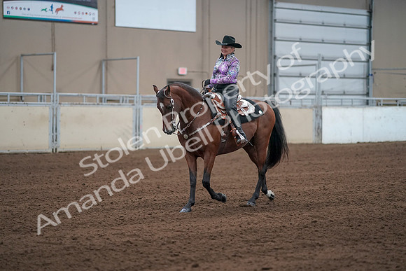2019 Morgan Horse Show - Sept 01, 2019 - 07211