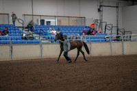 2019 Morgan Horse Show - Aug 30, 2019 - 25676