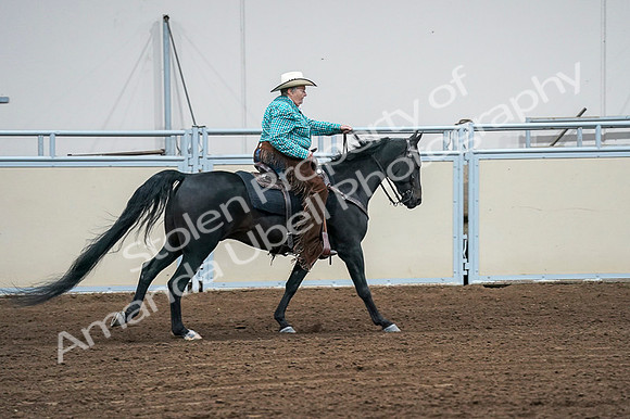 2020 - AB Morgan Horse - Fri, Sept 04 - 00498