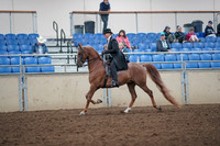2019 Morgan Horse Show - Aug 31, 2019 - 12178