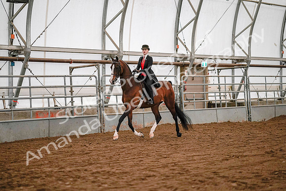 July 19, 2019 - 8696