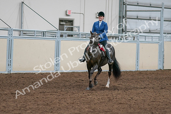 2020 - AB Morgan Horse - Sat, Sept 05 - 05231