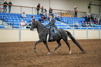 2020 - AB Morgan Horse - Sat, Sept 05 - 13574
