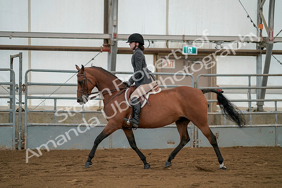 July 19, 2019 - 2528