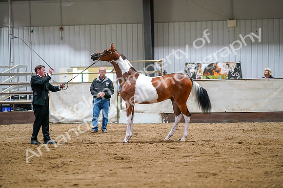 WSB - June 28, 2019 - 11505
