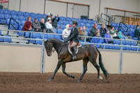 2020 - AB Morgan Horse - Sun, Sept 06 - 00887