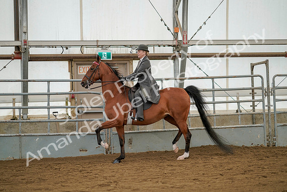 July 20, 2019 - 02317