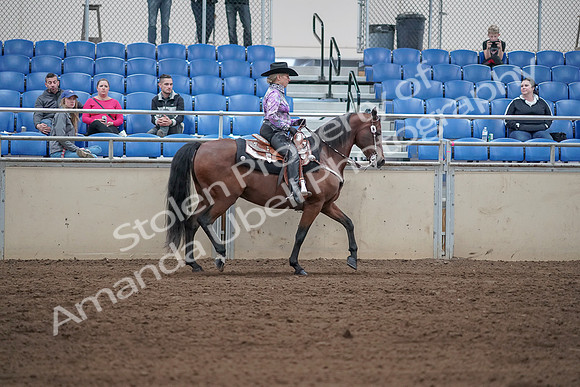 2019 Morgan Horse Show - Sept 01, 2019 - 07076