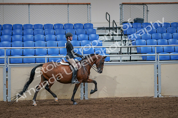2020 - AB Morgan Horse - Fri, Sept 04 - 06144