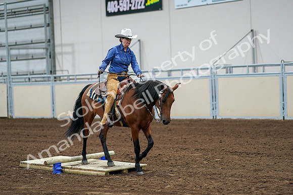 2020 - AB Morgan Horse - Fri, Sept 04 - 00241