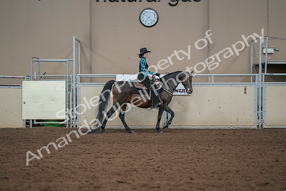 2019 Morgan Horse Show - Aug 30, 2019 - 26135