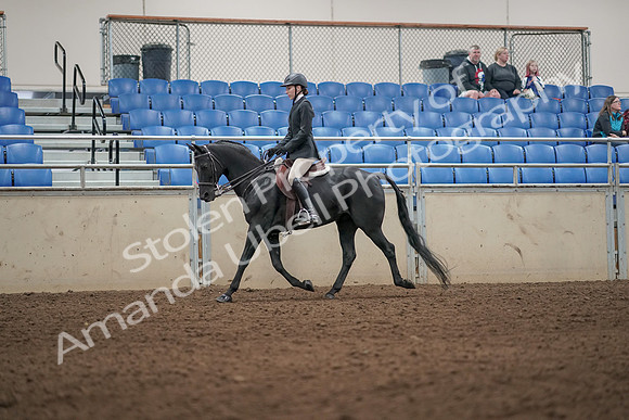 2019 Morgan Horse Show - Aug 31, 2019 - 04917