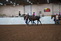 2019 Morgan Horse Show - Aug 31, 2019 - 18892
