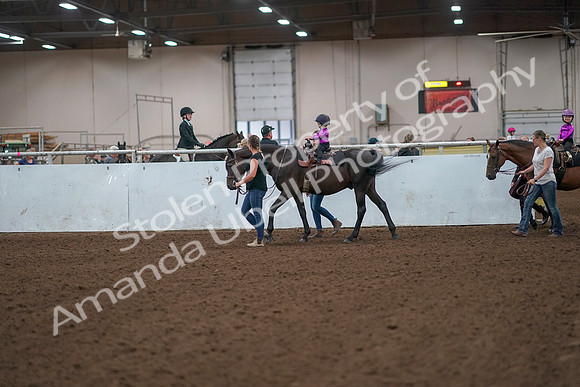 2019 Morgan Horse Show - Aug 31, 2019 - 18892