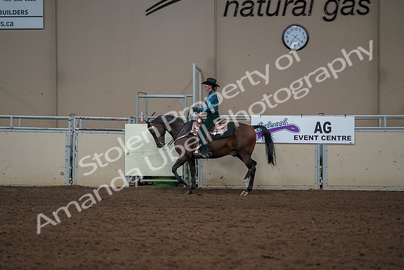 2019 Morgan Horse Show - Aug 30, 2019 - 26030