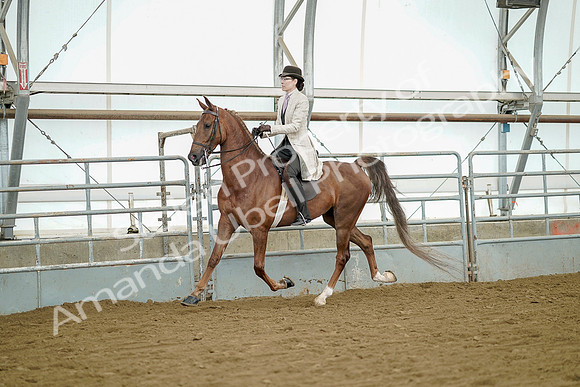 July 20, 2019 - 07843