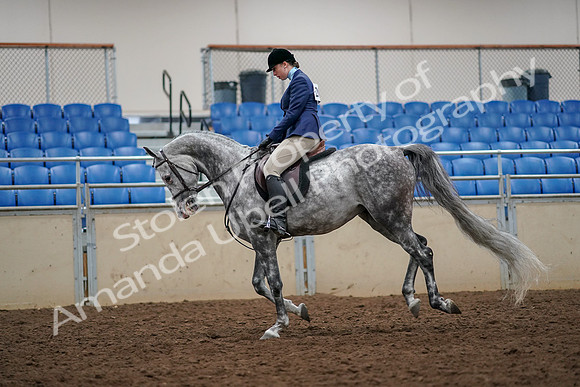 2019 Morgan Horse Show - Aug 30, 2019 - 22351