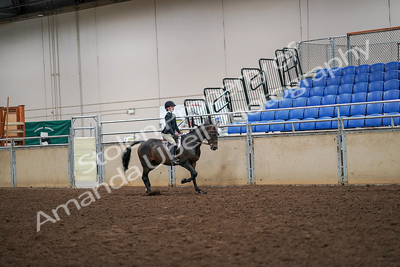 2019 Morgan Horse Show - Aug 30, 2019 - 12403