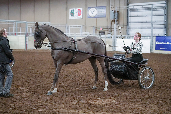 Spring Fling - Saturday - April 20, 2019  -  00306