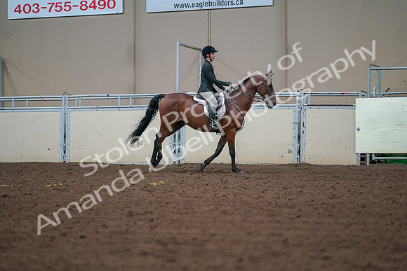 2019 Morgan Horse Show - Aug 30, 2019 - 21031
